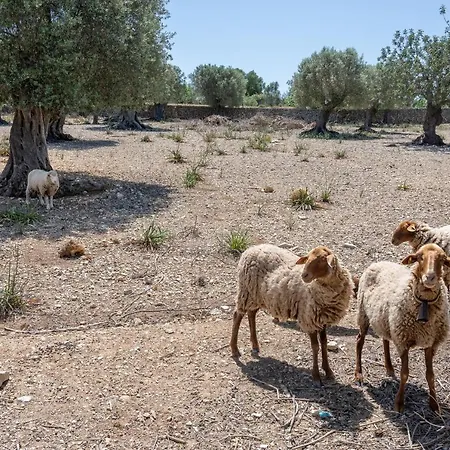 La Rota De Morell Holiday home